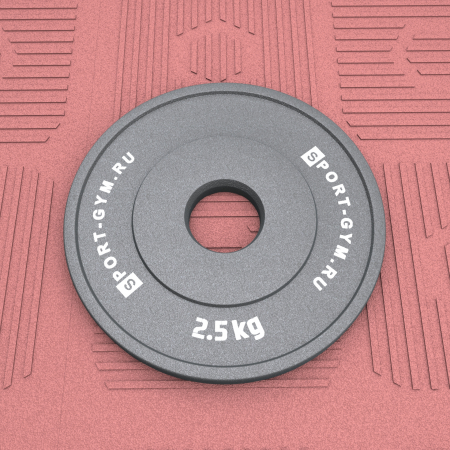 Стальной диск для пауэрлифтинга 2,5 кг Ø 51 мм